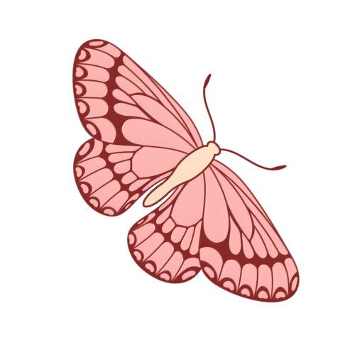 Mariposa decorativa